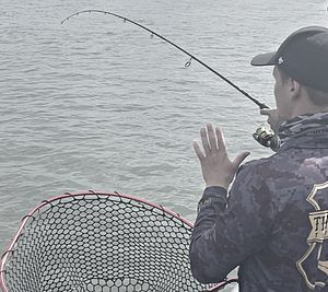 Charters with Lowy